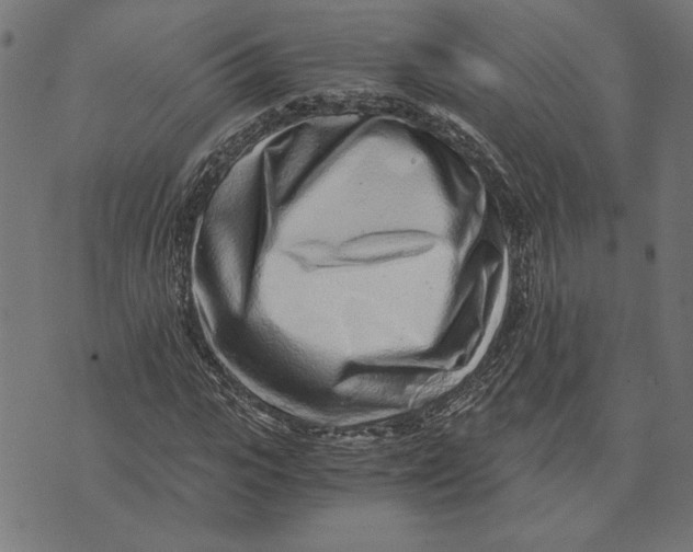 X0000073530919200608211826