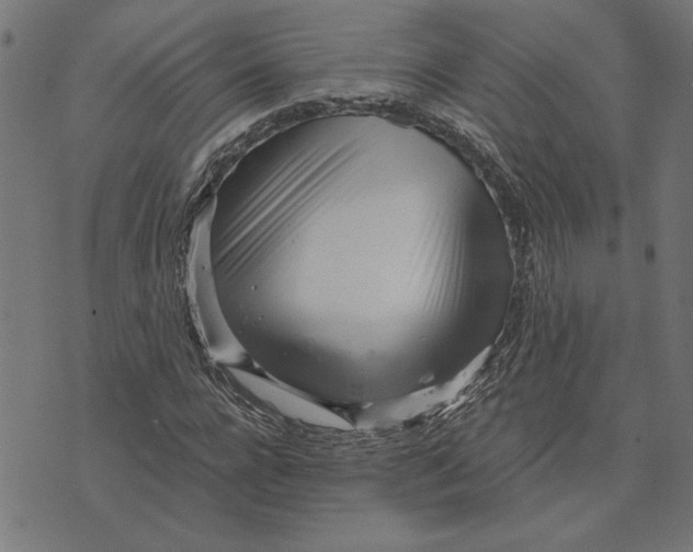 X0000073530920200608211826