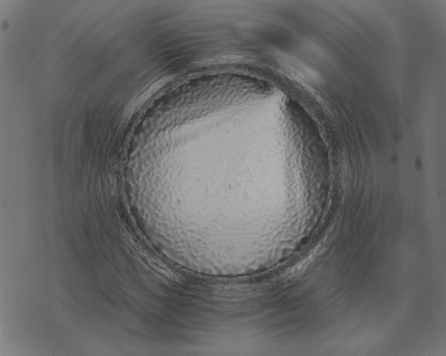 X0000073530921200608211826