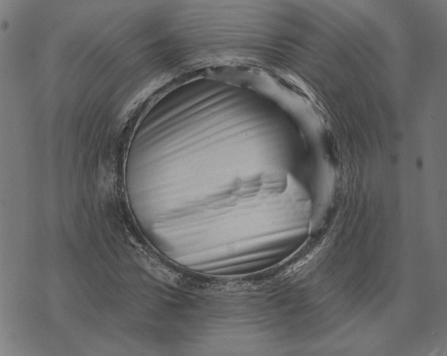 X0000073530922200608211826