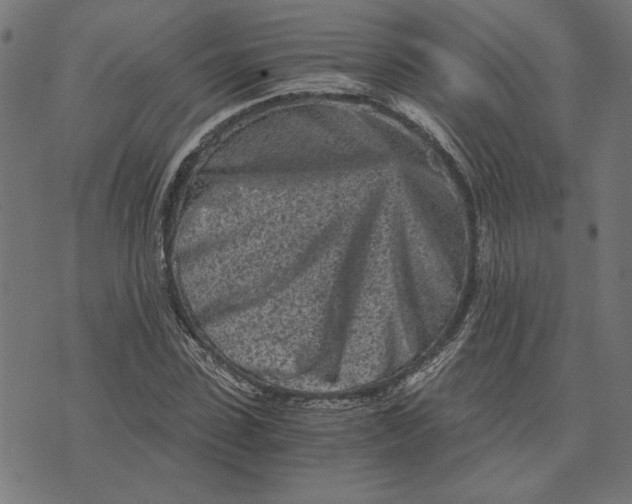 X0000073530923200608211826