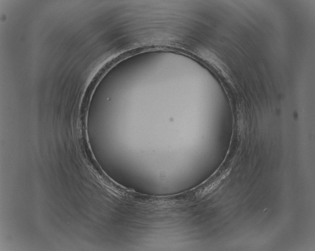 X0000073530924200608211826