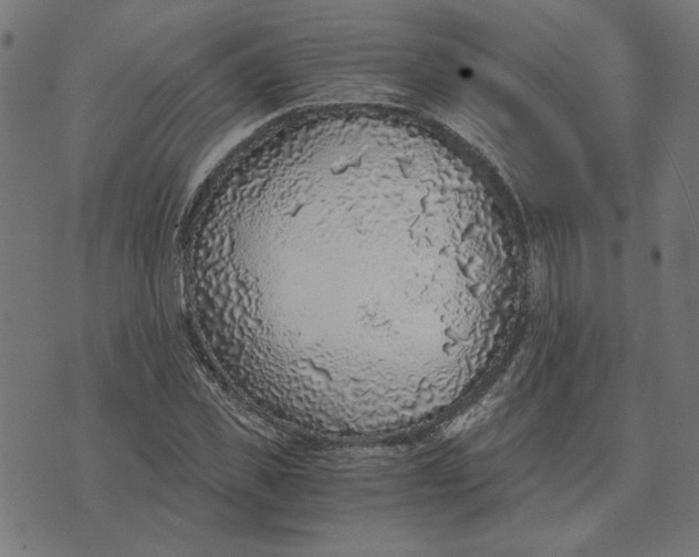 X0000073530925200608211826