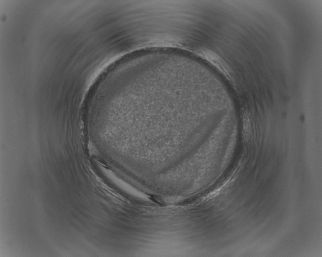 X0000073530926200608211826