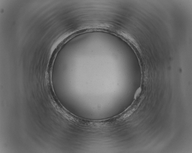 X0000073530928200608211826