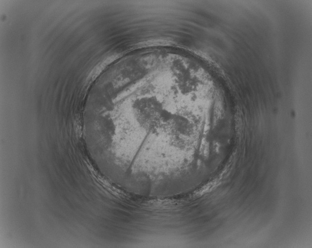 X0000073530929200608211826