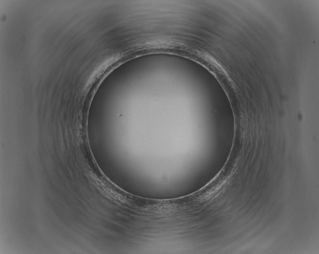 X0000073530930200608211826