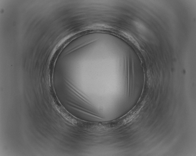 X0000073530931200608211826