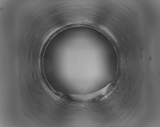 X0000073530932200608211826