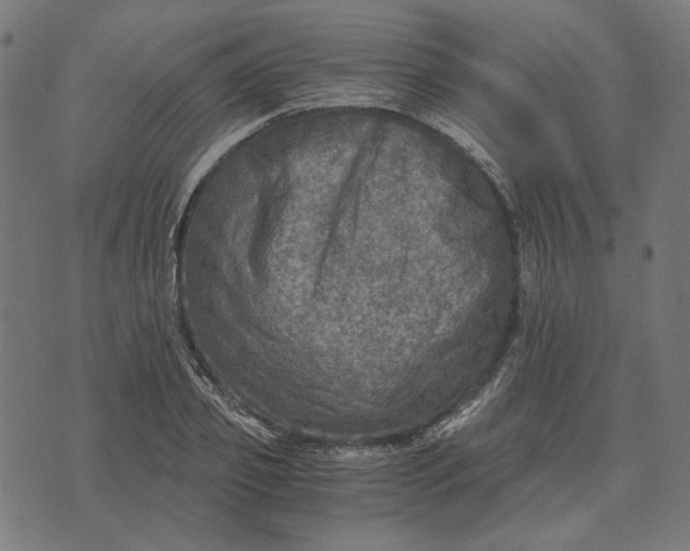 X0000073530933200608211826