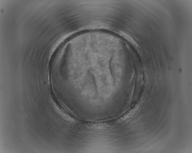 X0000073530934200608211826