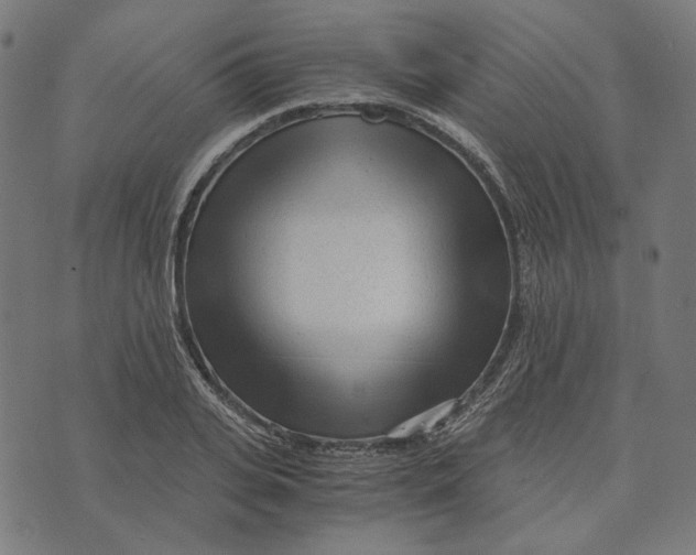 X0000073530935200608211826