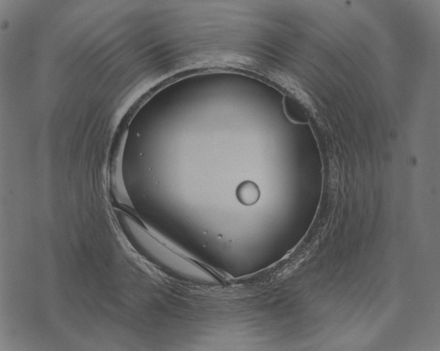 X0000073530936200608211826