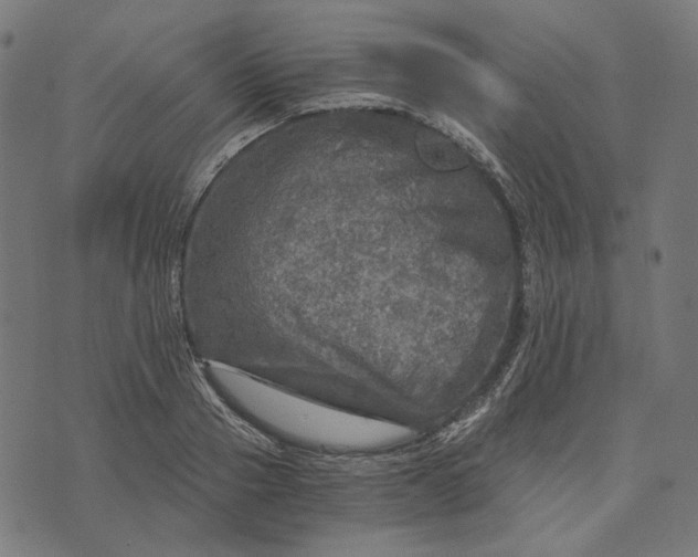 X0000073530937200608211826