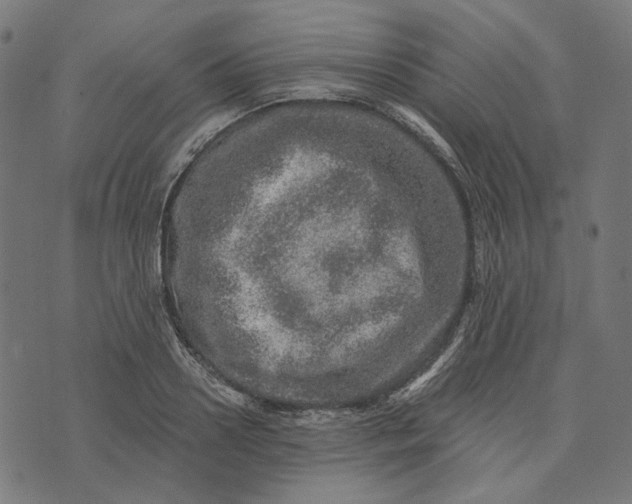 X0000073530938200608211826