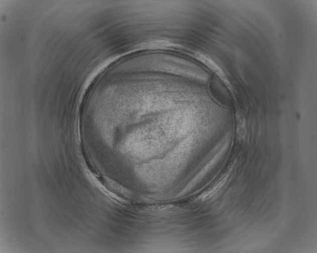 X0000073530939200608211826