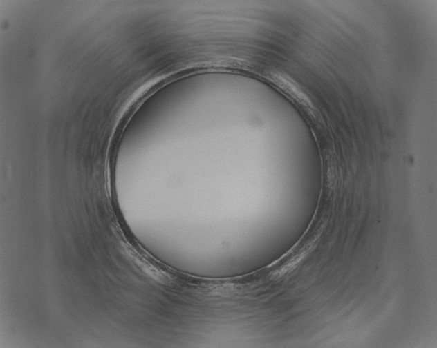 X0000073530940200608211826