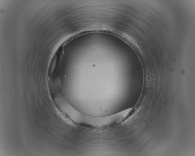 X0000073530942200608211826