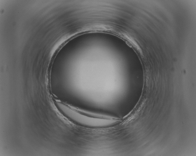 X0000073530944200608211826