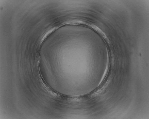 X0000073530945200608211826