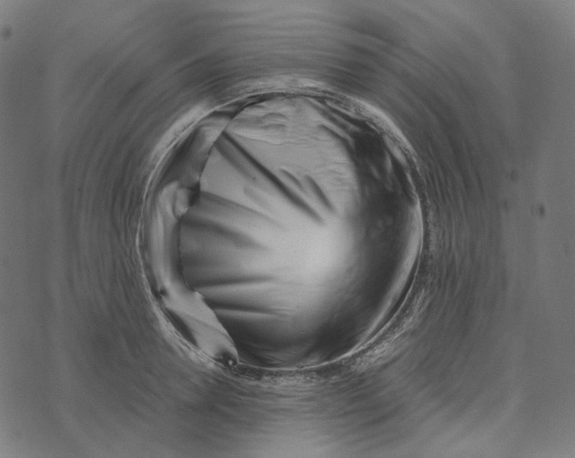 X0000073530946200608211826