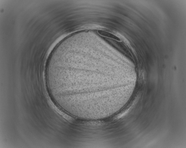 X0000073530947200608211826