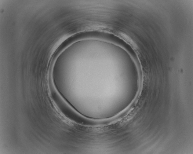 X0000073530948200608211826