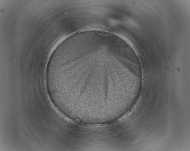 X0000073530949200608211826