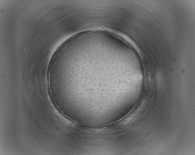 X0000073530951200608211826