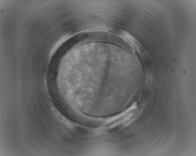 X0000073530952200608211826