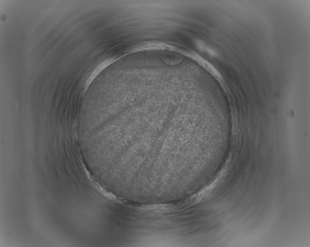 X0000073530953200608211826