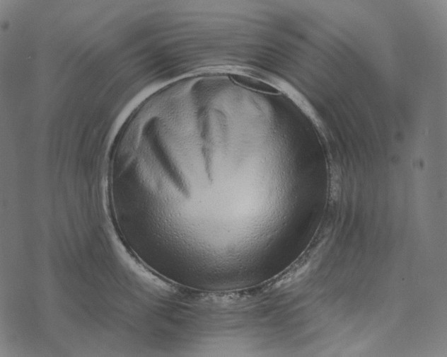 X0000073530955200608211826