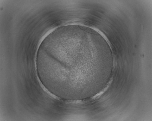 X0000073530957200608211826