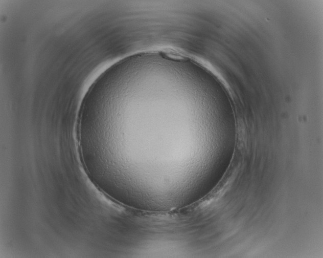 X0000073530959200608211826