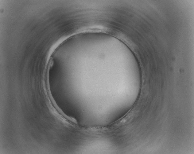 X0000073530960200608211826