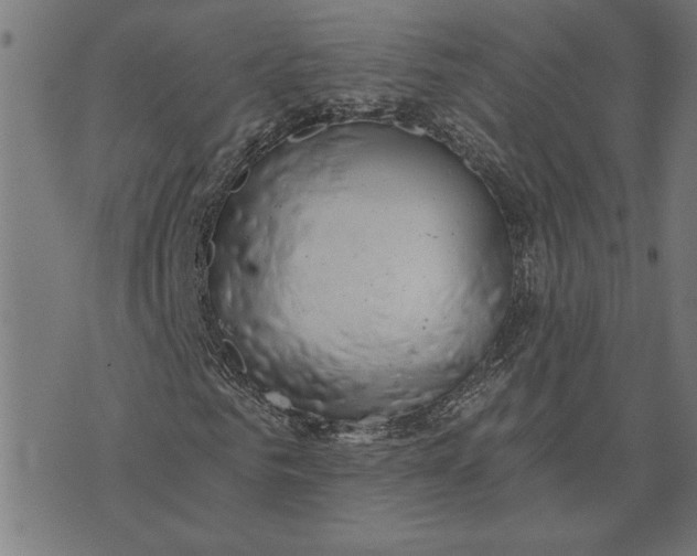 X0000073530961200608211826