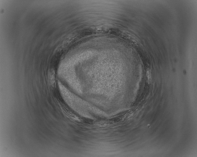 X0000073530963200608211826