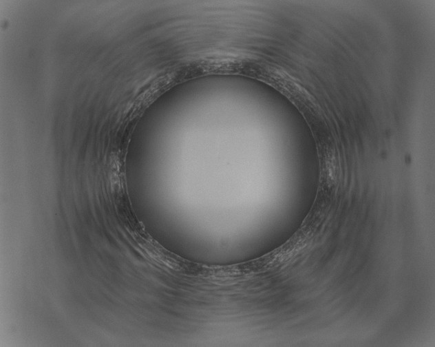 X0000073530964200608211826