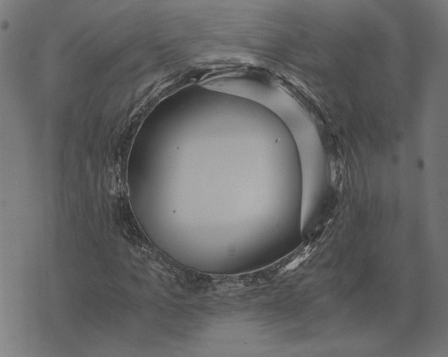 X0000073530965200608211825