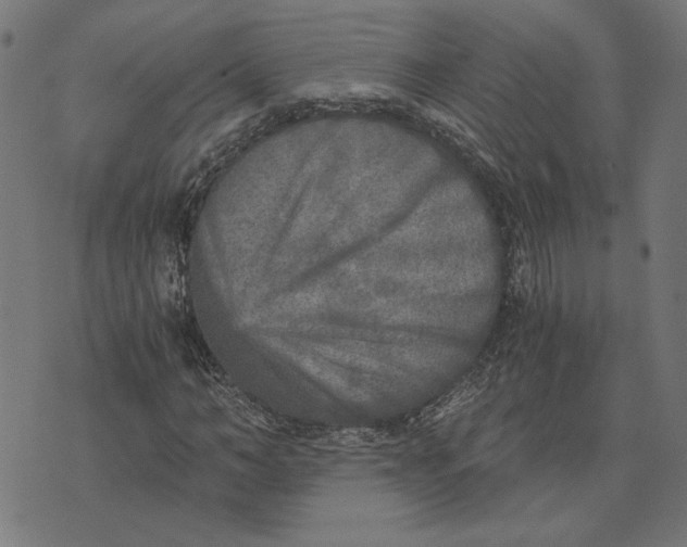 X0000073530966200608211825