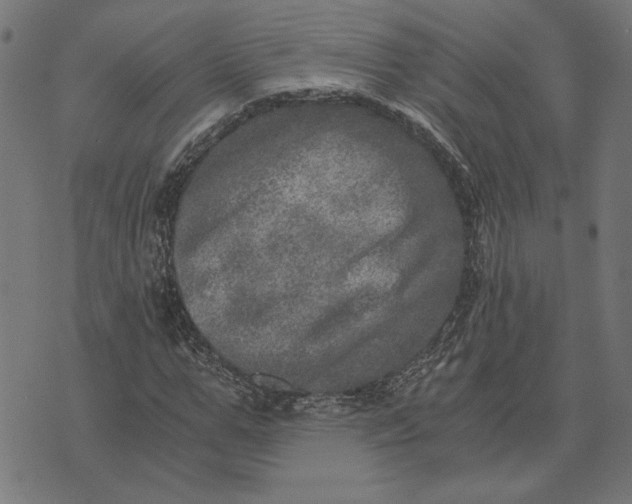 X0000073530967200608211825