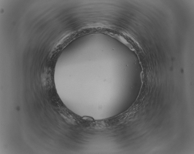 X0000073530968200608211825