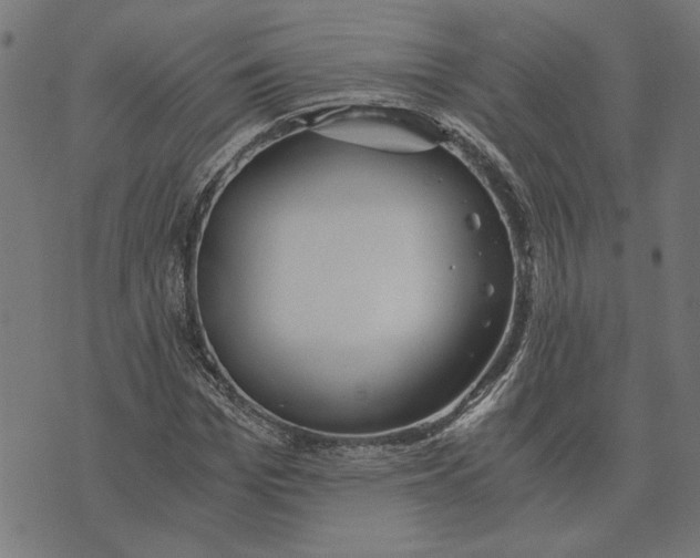 X0000073530969200608211825