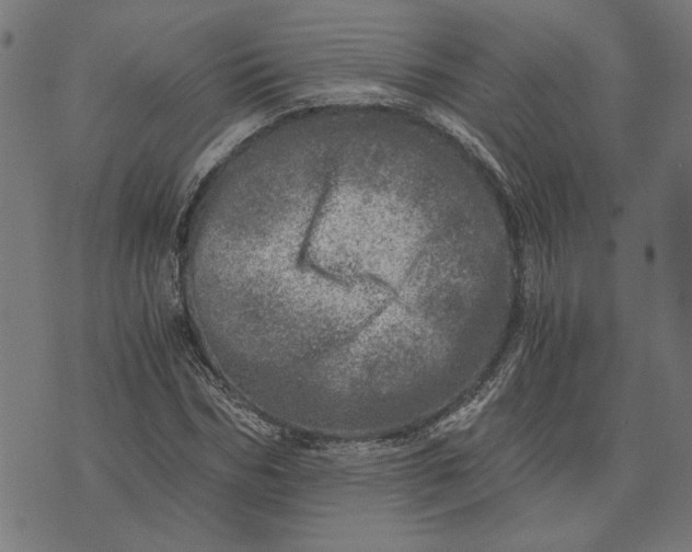 X0000073530970200608211825