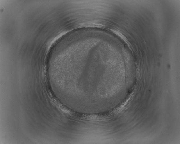 X0000073530971200608211825