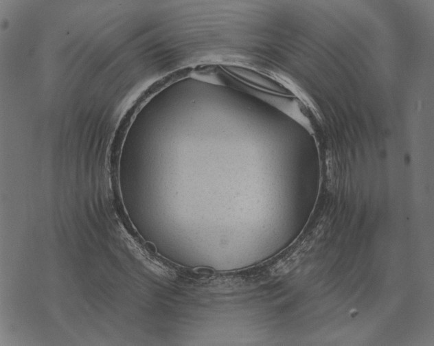 X0000073530972200608211825