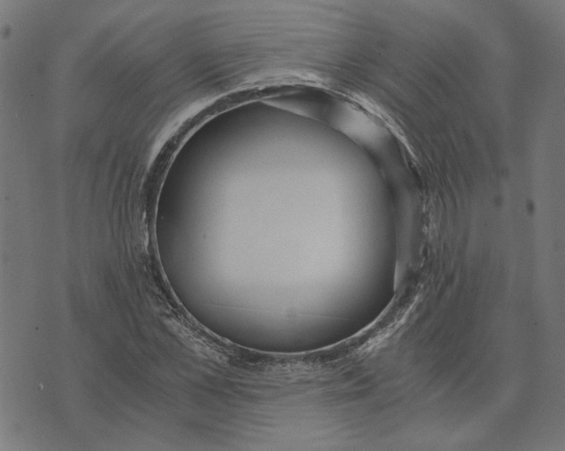 X0000073530973200608211825