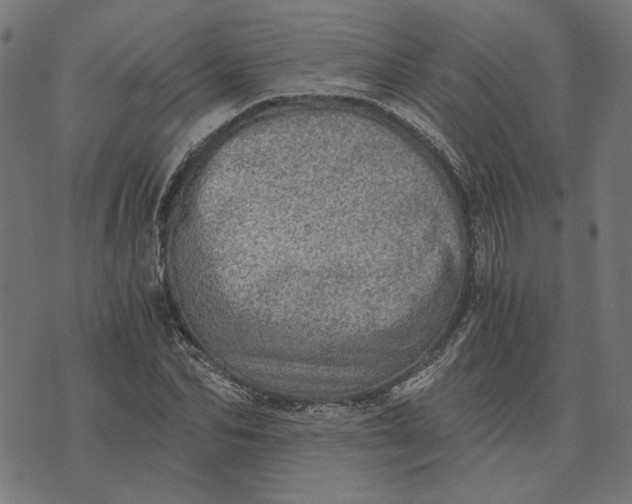 X0000073530974200608211825