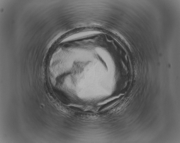 X0000073530975200608211825