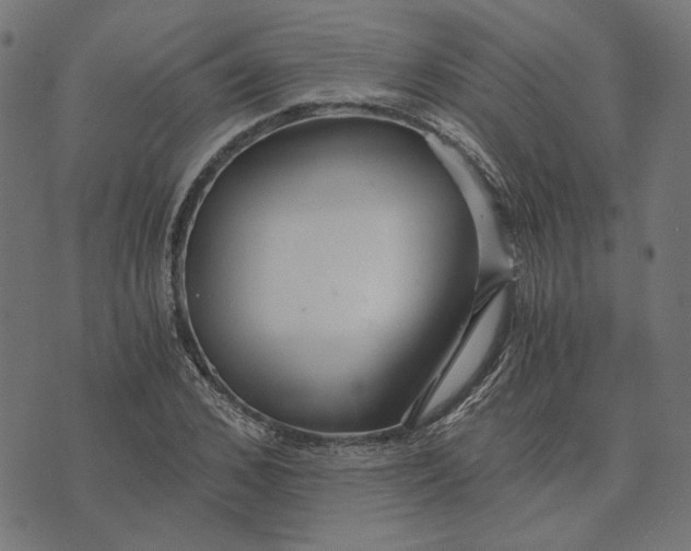 X0000073530976200608211825